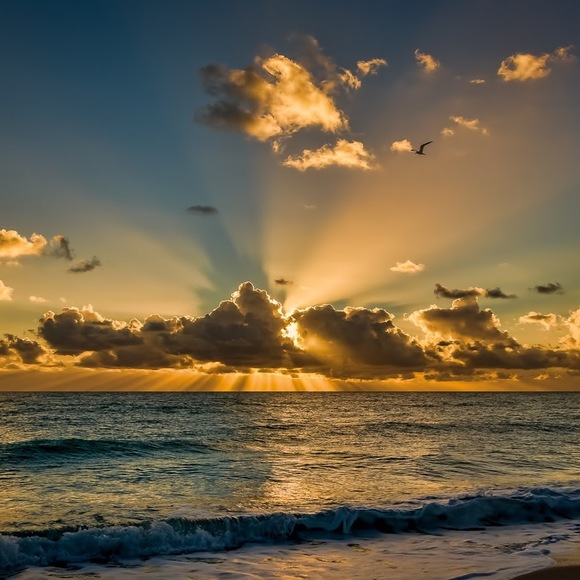 Meet your Posher, Waqas - Picture 1 of 1